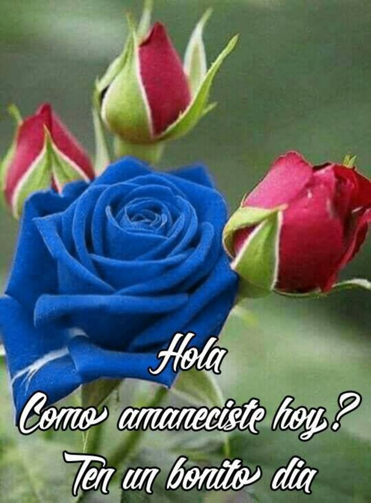 Imágenes originales de Buenos Días 9