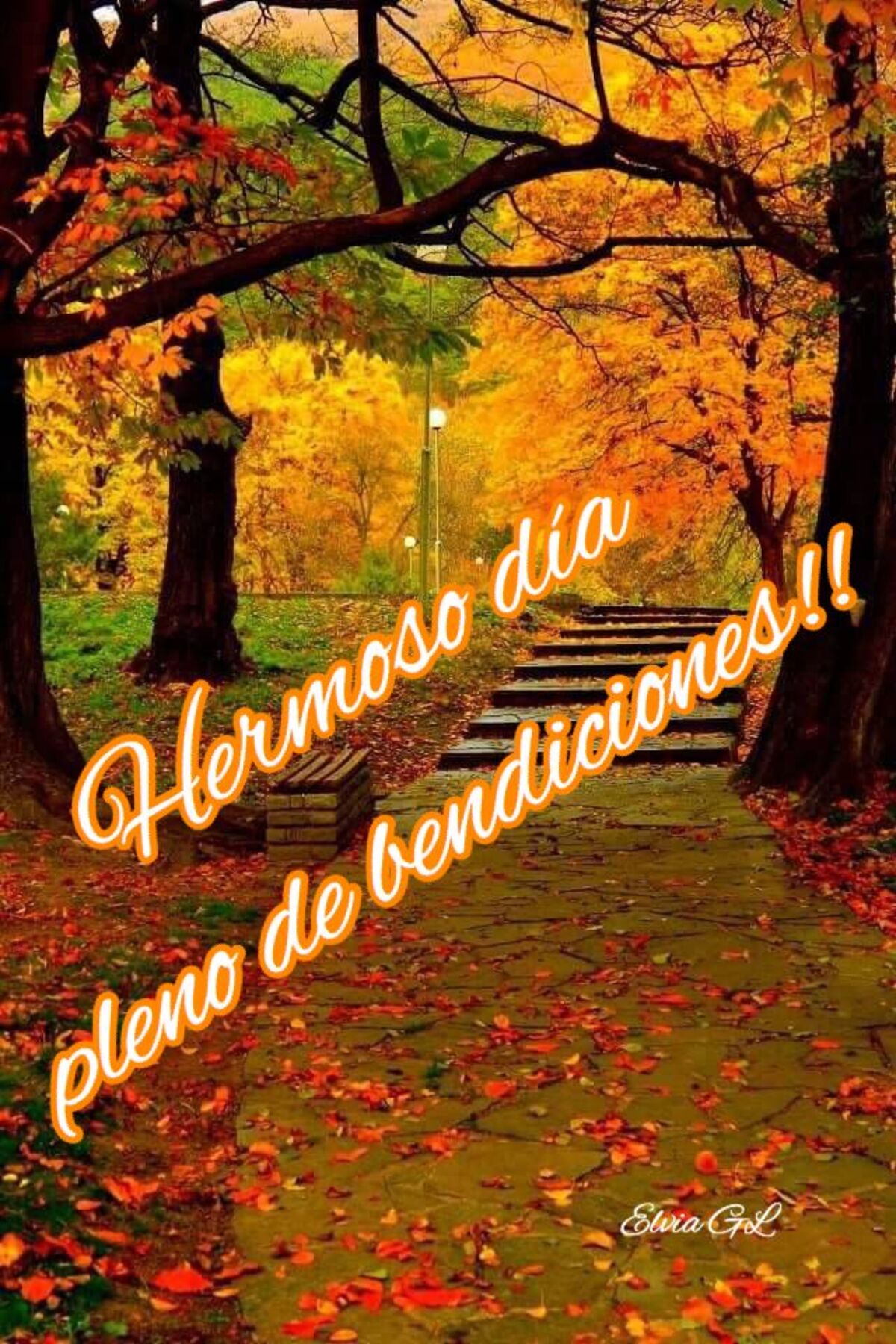 Imágenes para Buenos Días otoño (2)