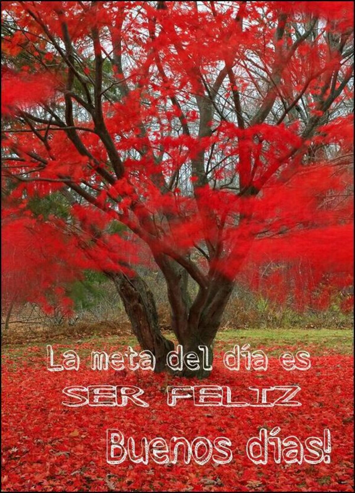 Imágenes para Buenos Días otoño (3)