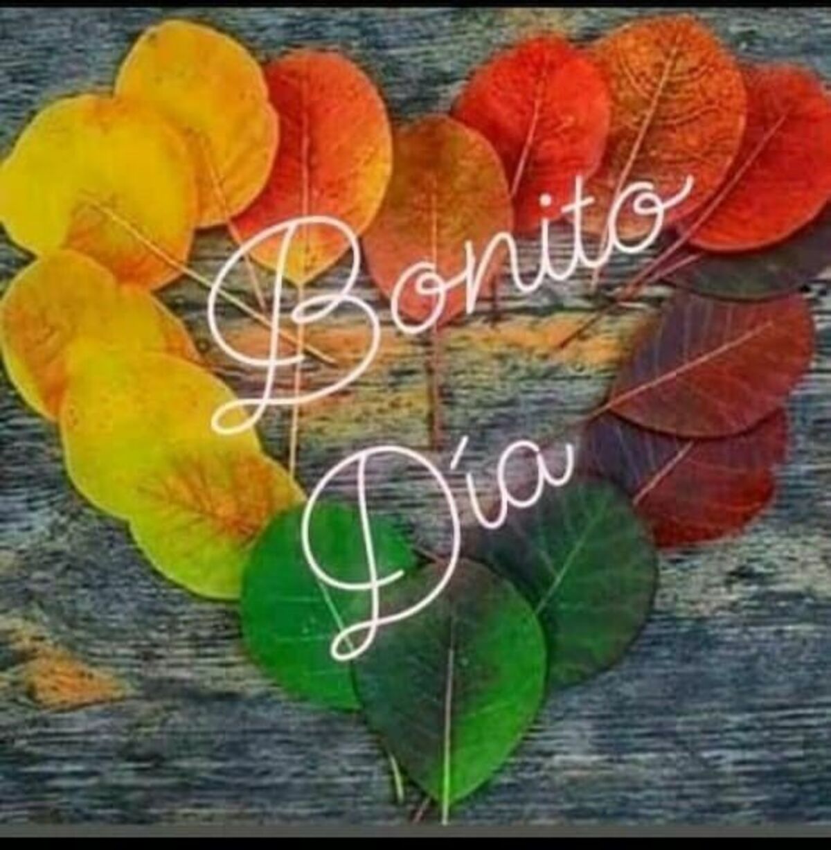 Imágenes para Buenos Días otoño (4)