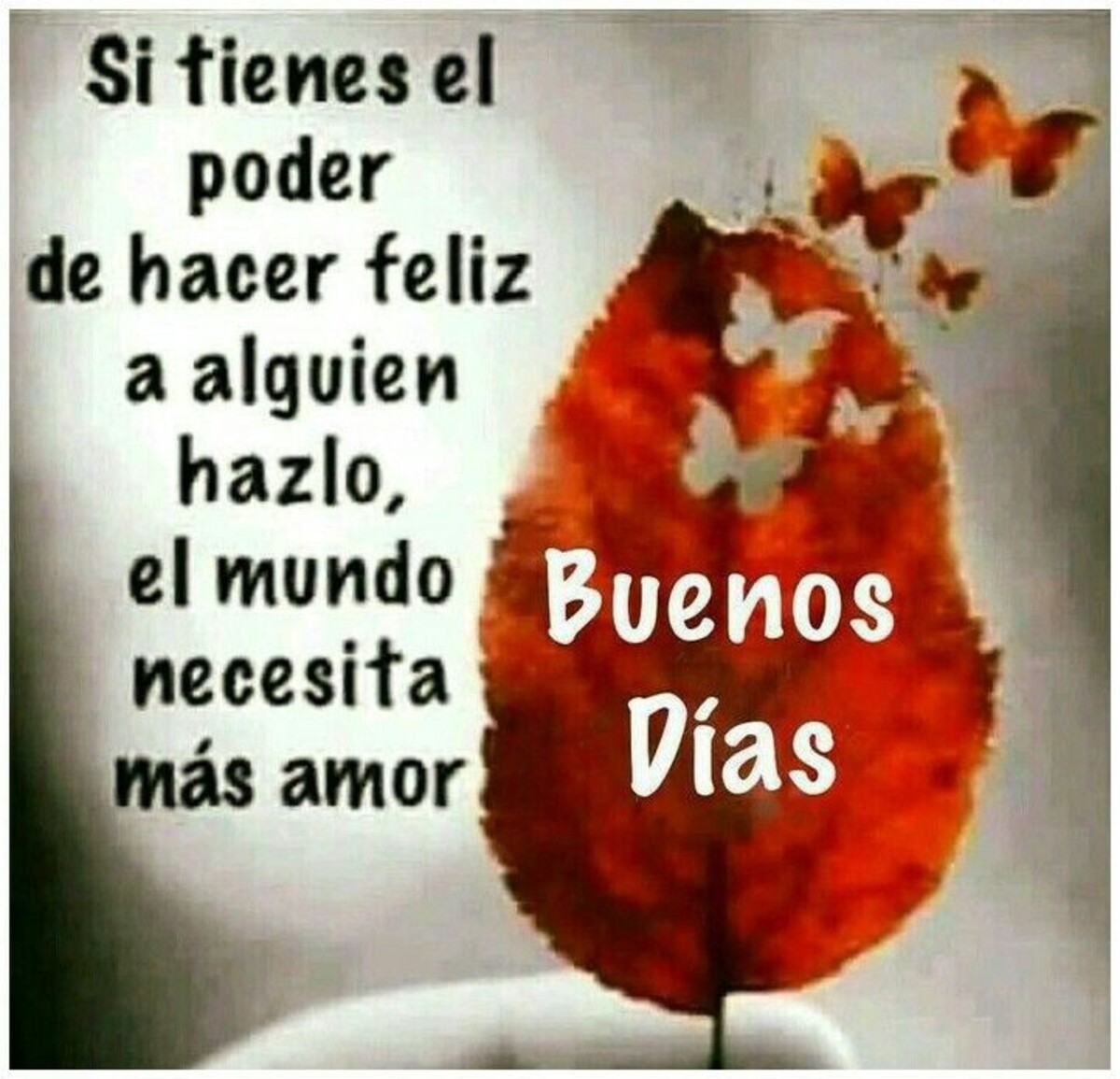 Imágenes para Buenos Días otoño (5)