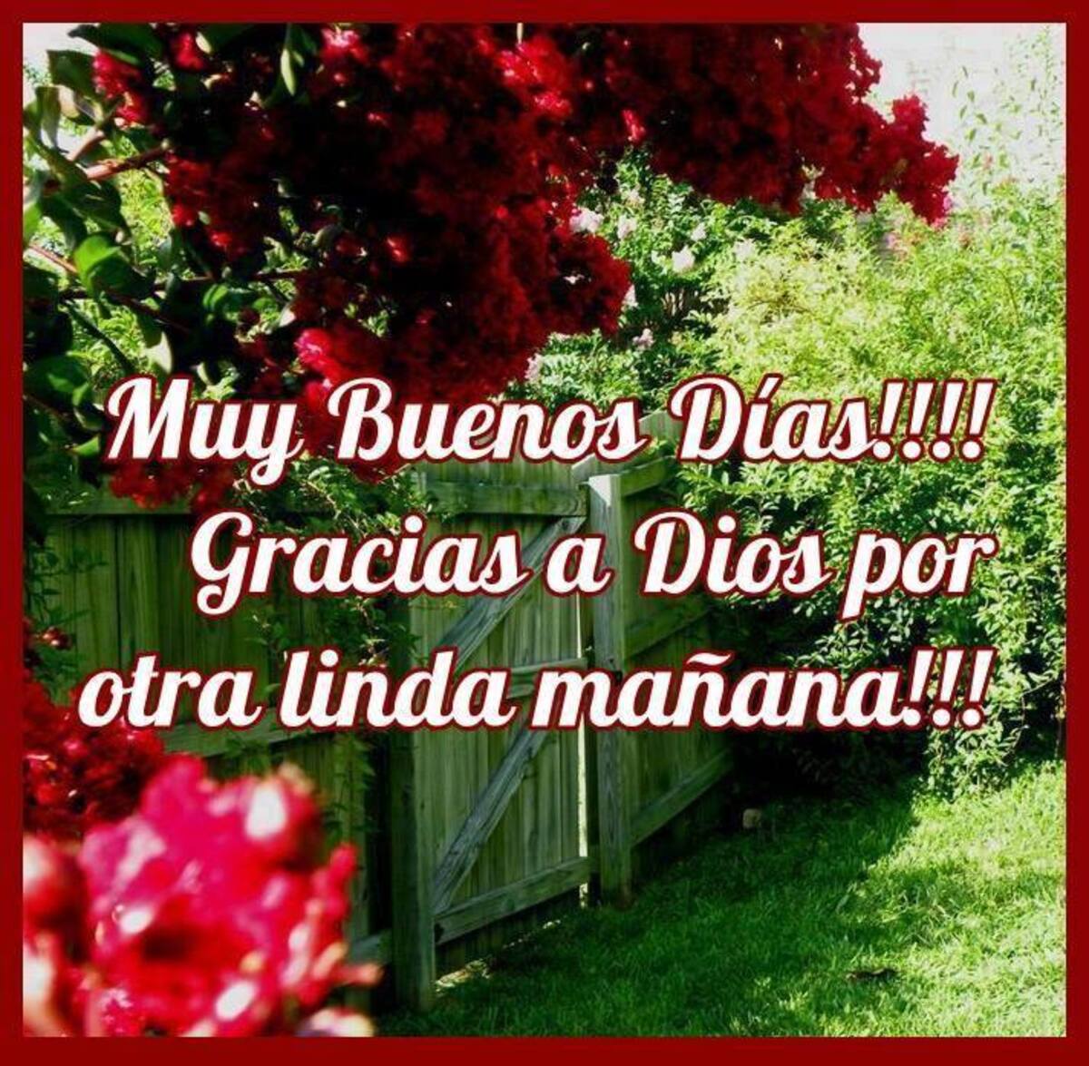 Imágenes para WhatsApp Buen Día 11