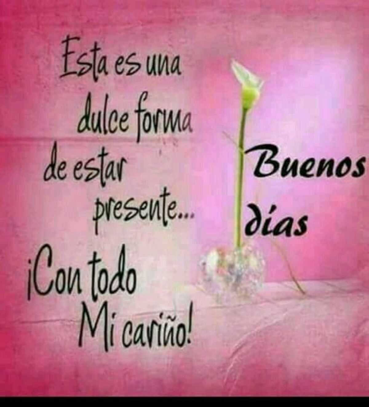 Imágenes para WhatsApp Buen Día 8