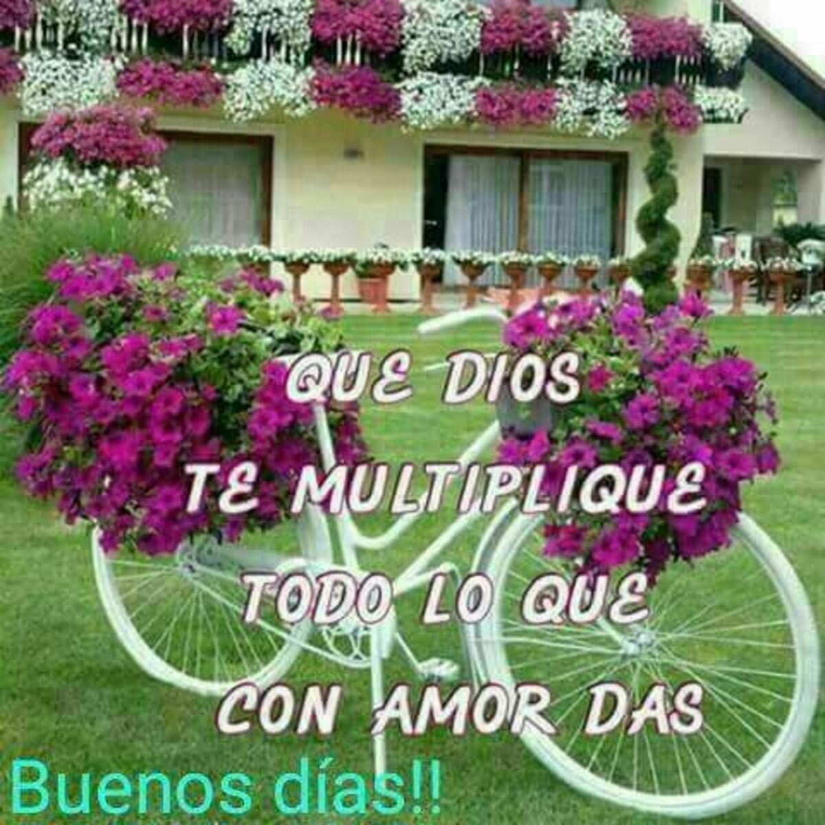Imágenes para WhatsApp y Facebook de Buenos Días 4
