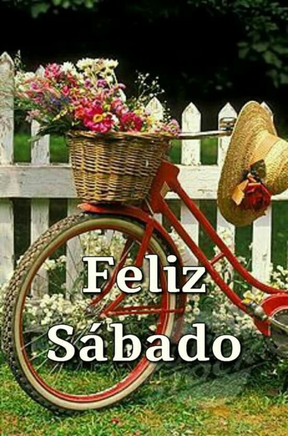 Imágenes y citas para Feliz Sábado 11
