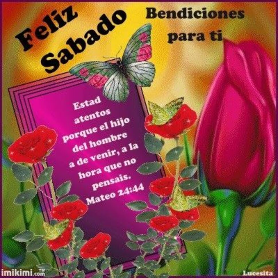 Imágenes y citas para Feliz Sábado 4