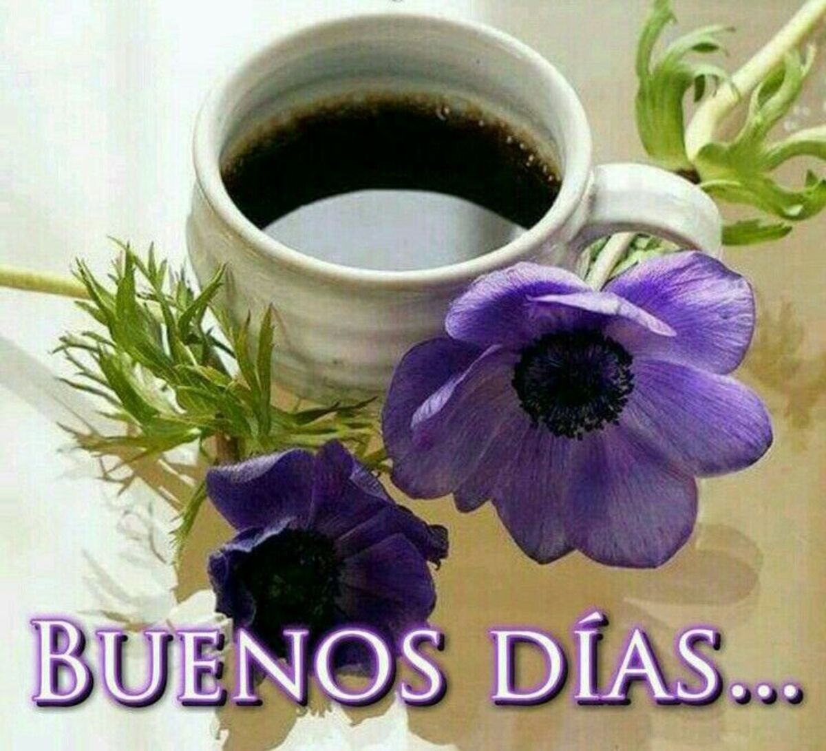 Imágenes y tarjetas para Buen Día Pinterest 12
