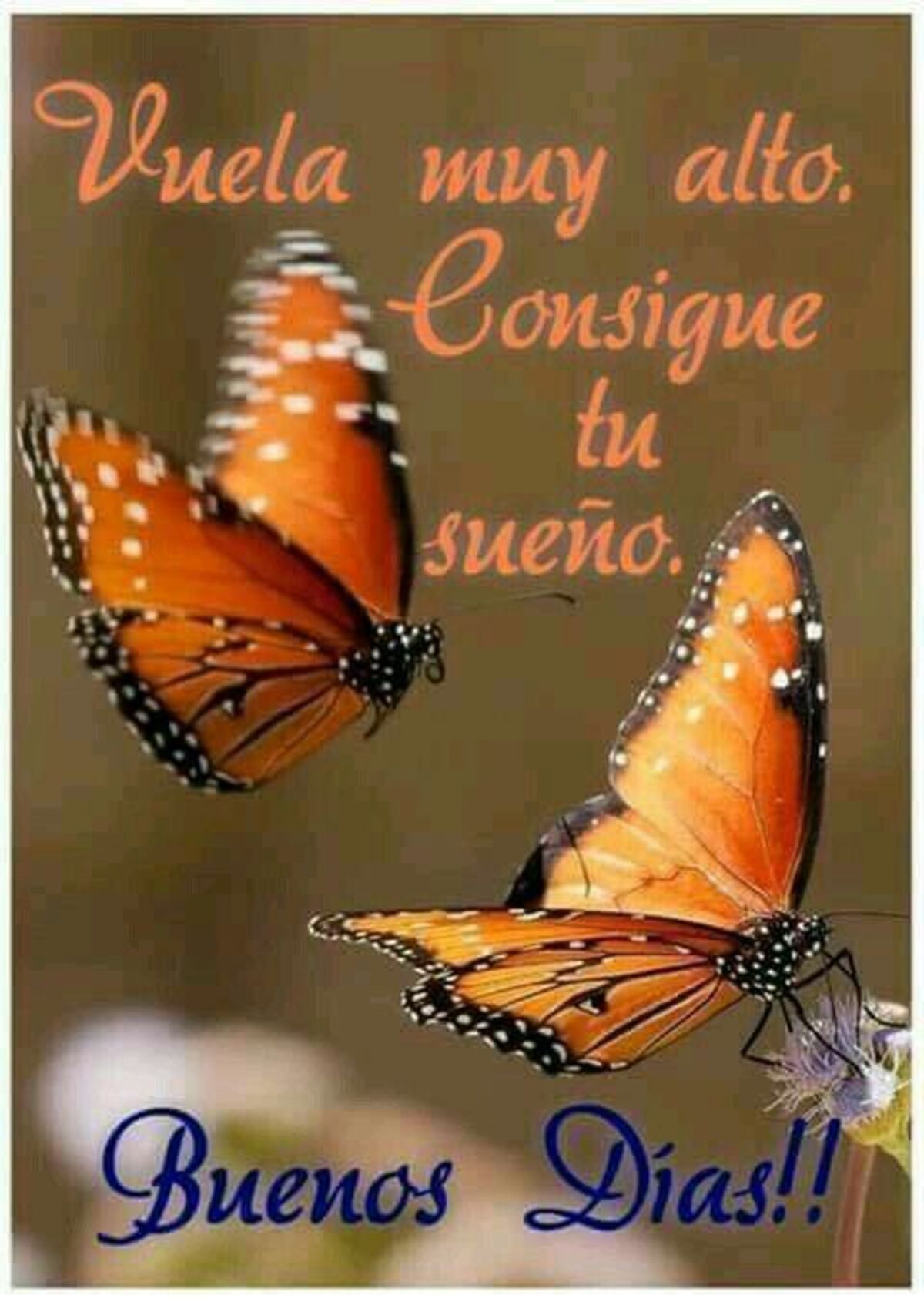 Imágenes y tarjetas para Buen Día Pinterest 6