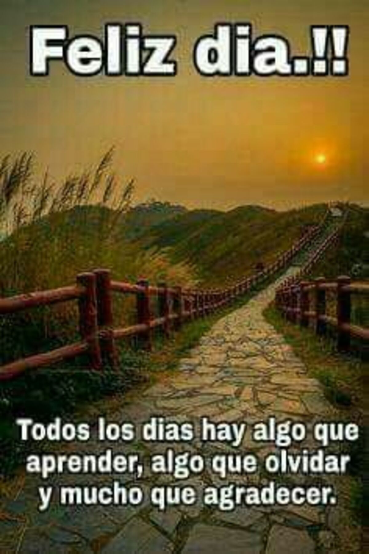 Imágenes y tarjetas para Buen Día Pinterest 8