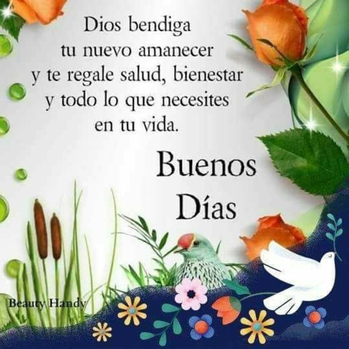 Las mejores imágenes para decir buenos días 11