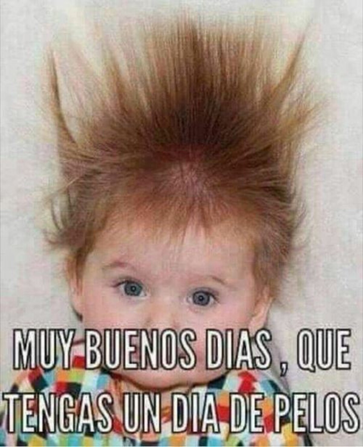 Las mejores imágenes para decir buenos días 4