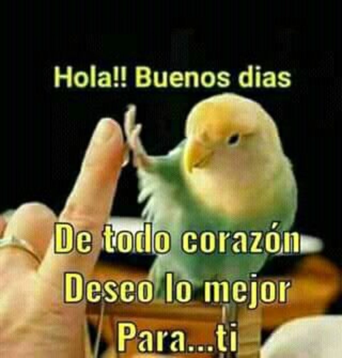 Las mejores imágenes para decir buenos días 8