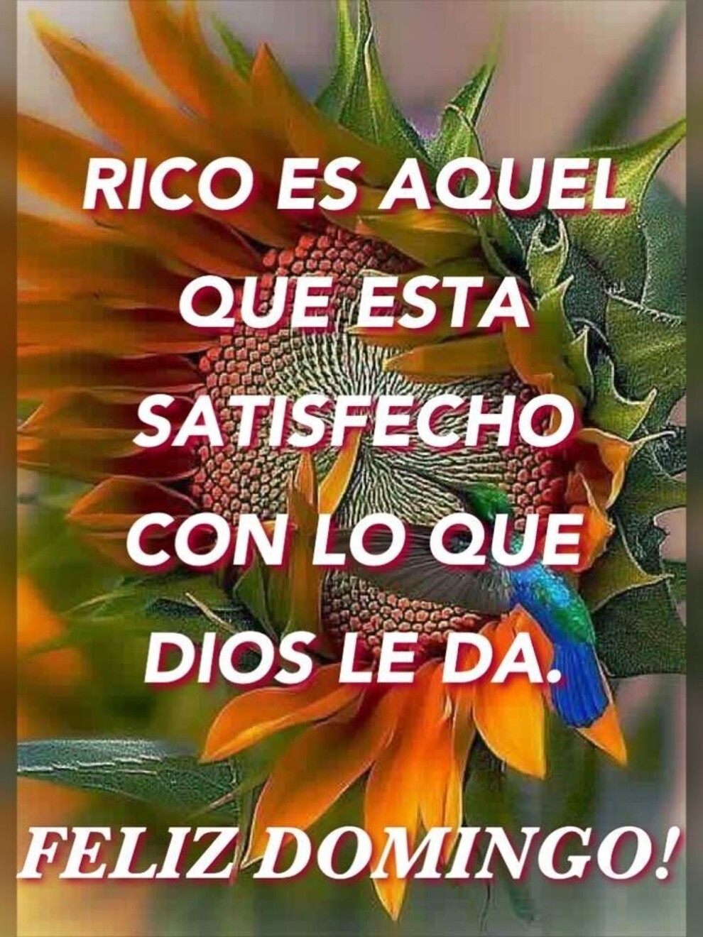 Lindas imágenes Feliz Domingo para descargar 11