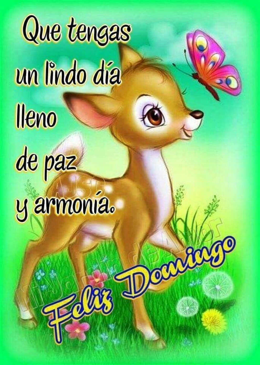 Lindas imágenes Feliz Domingo para descargar 7