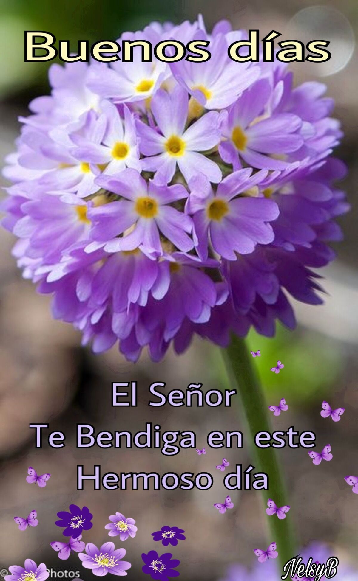 Lindas imágenes de Buenos Días Pinterest 4