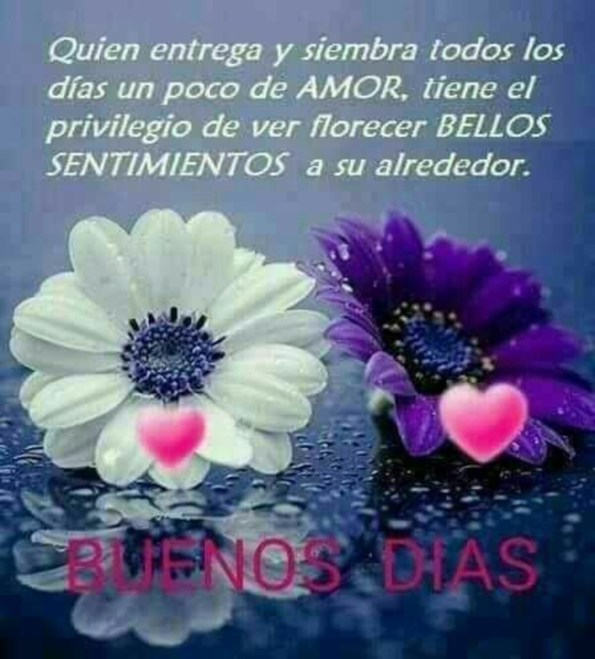 Lindas imágenes para Facebook de Buenos Días 2