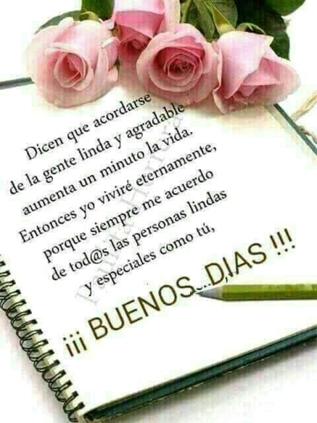 Lindas imágenes para dar los Buenos Días 7