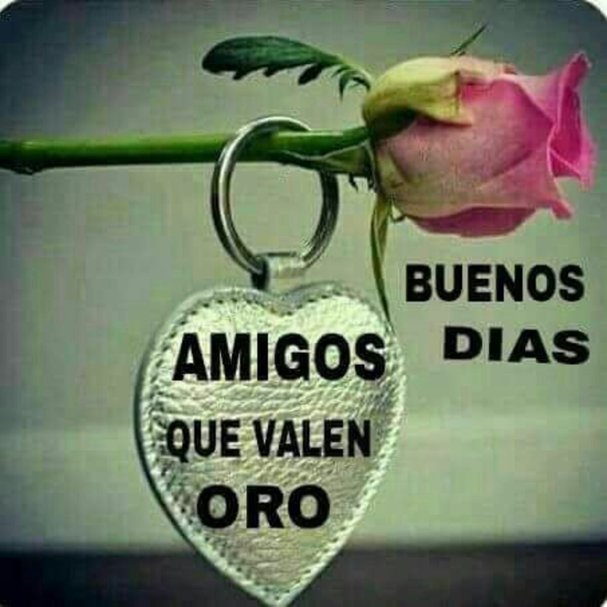 Lindas imágenes para dar los Buenos Días 8
