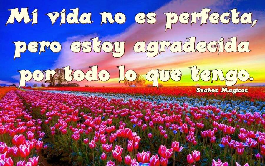 Los mejores Frases para compartir en Facebook 10