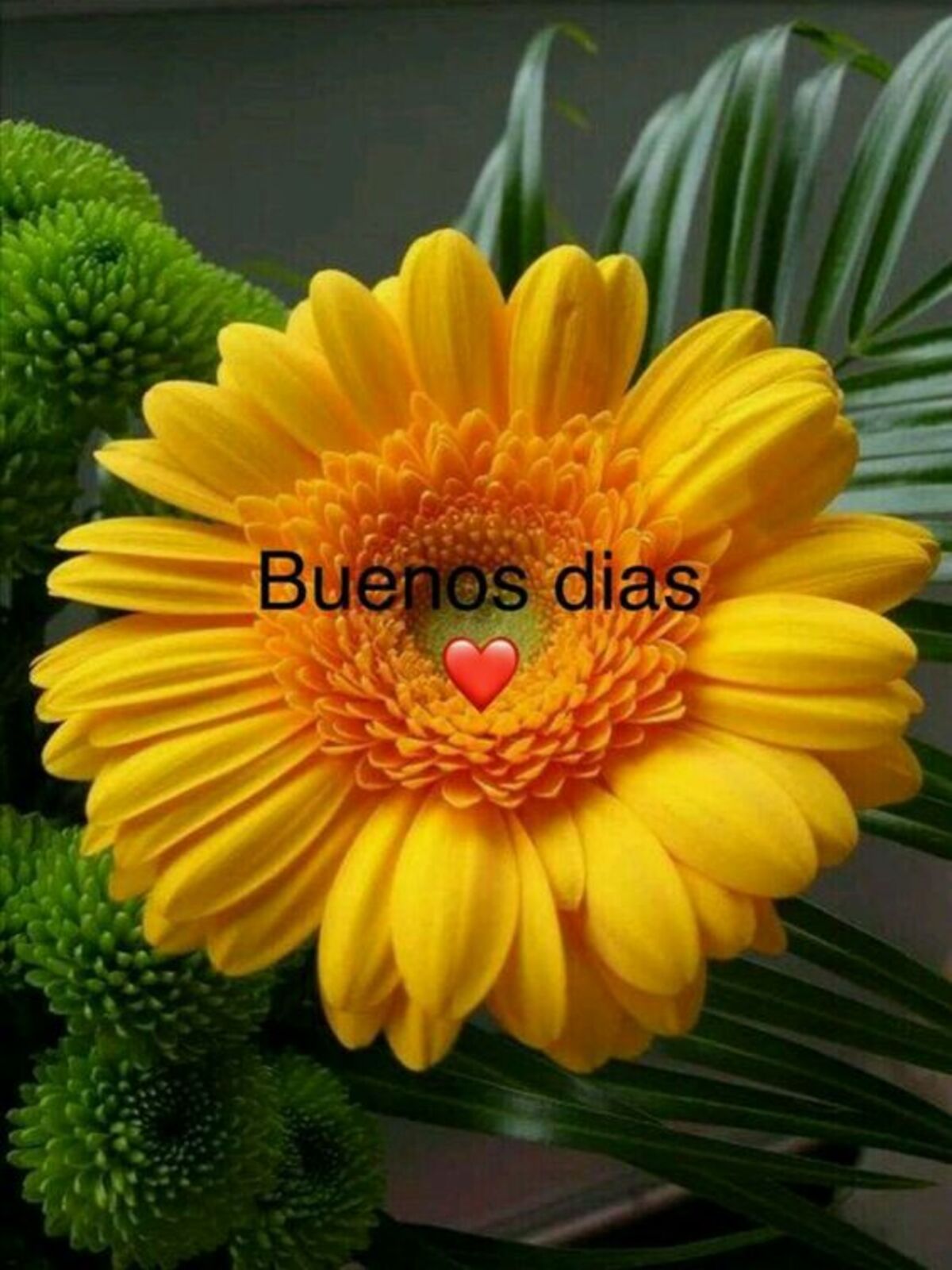 Postales de Buenos Días bendiciones 2
