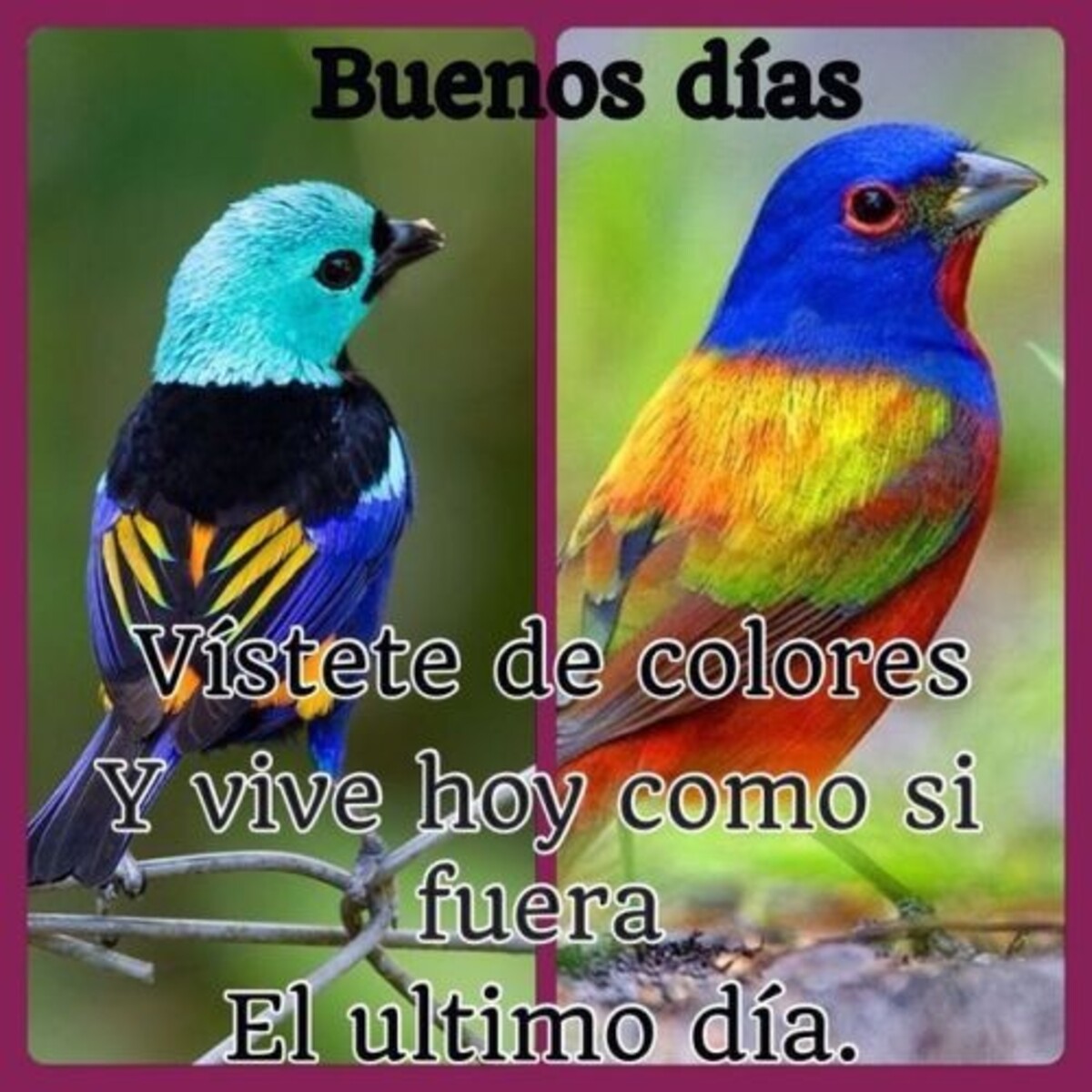 Postales de Buenos Días bendiciones 3