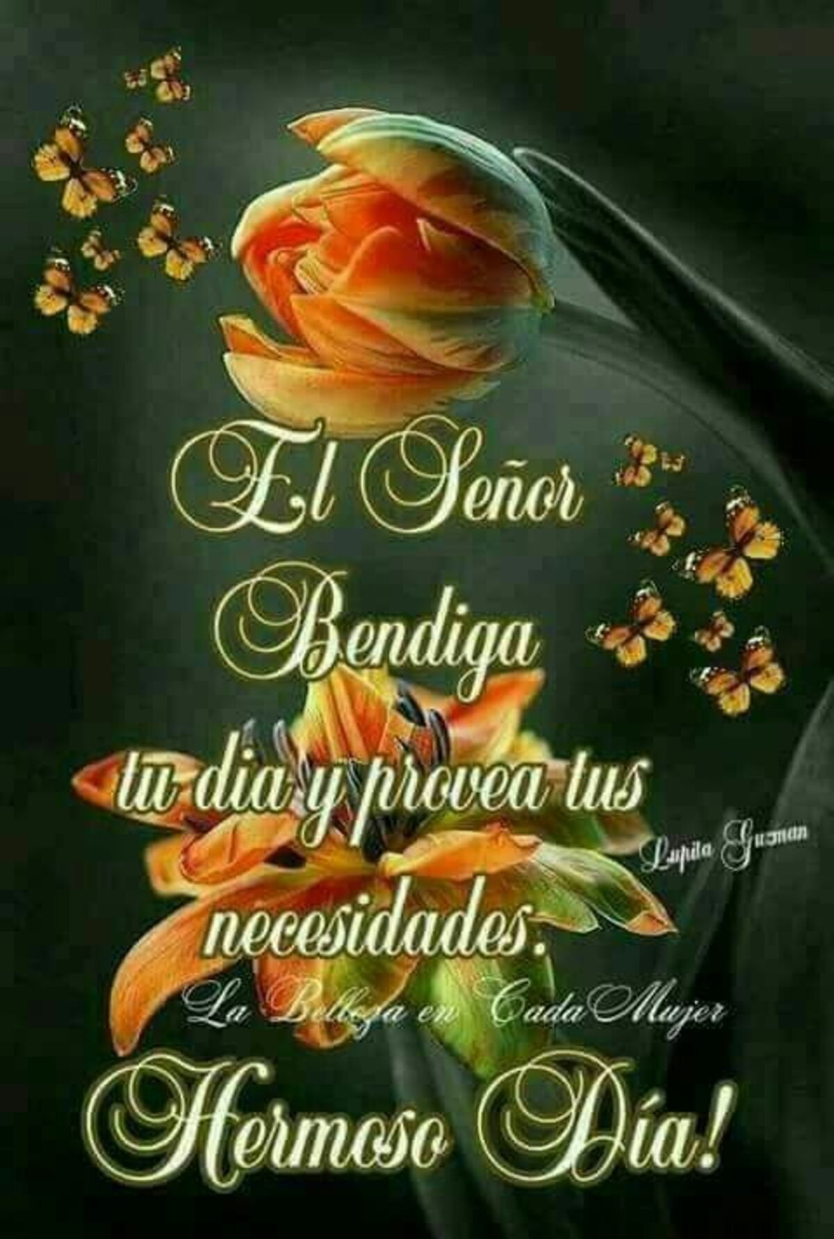 Postales de Buenos Días bendiciones 6