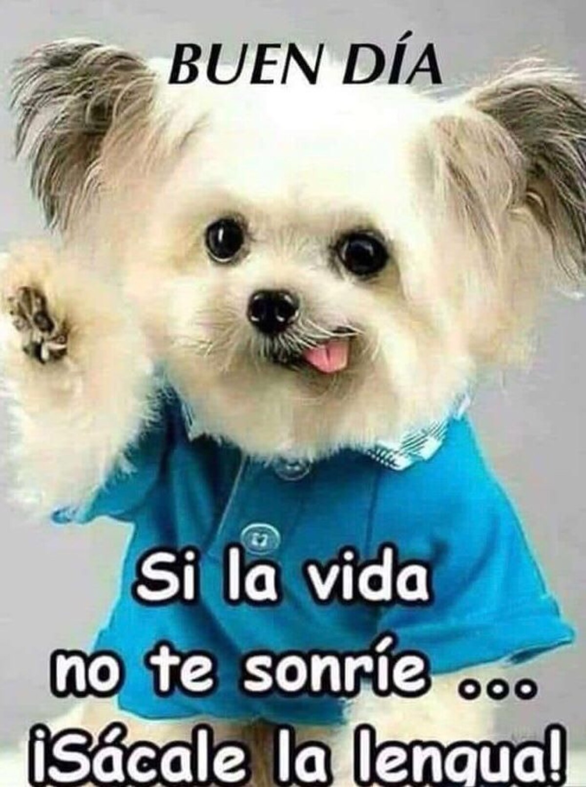 Postales gratis de Buenos Días 12