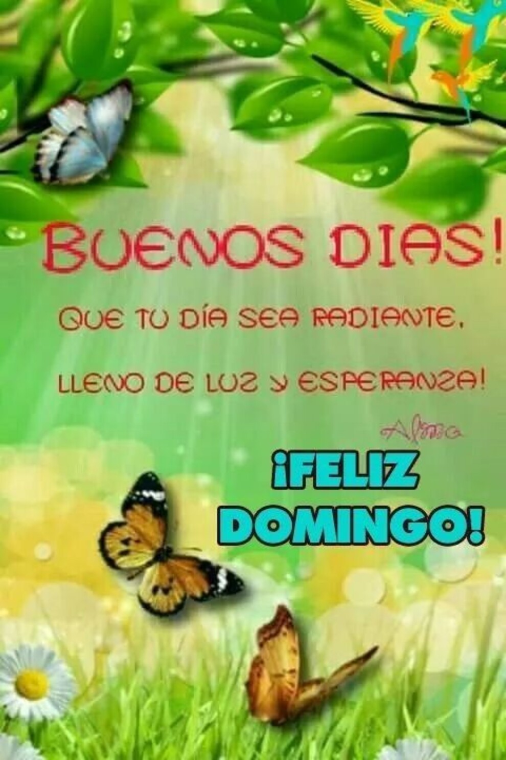 Postales y tarjetas de Feliz Domingo 10