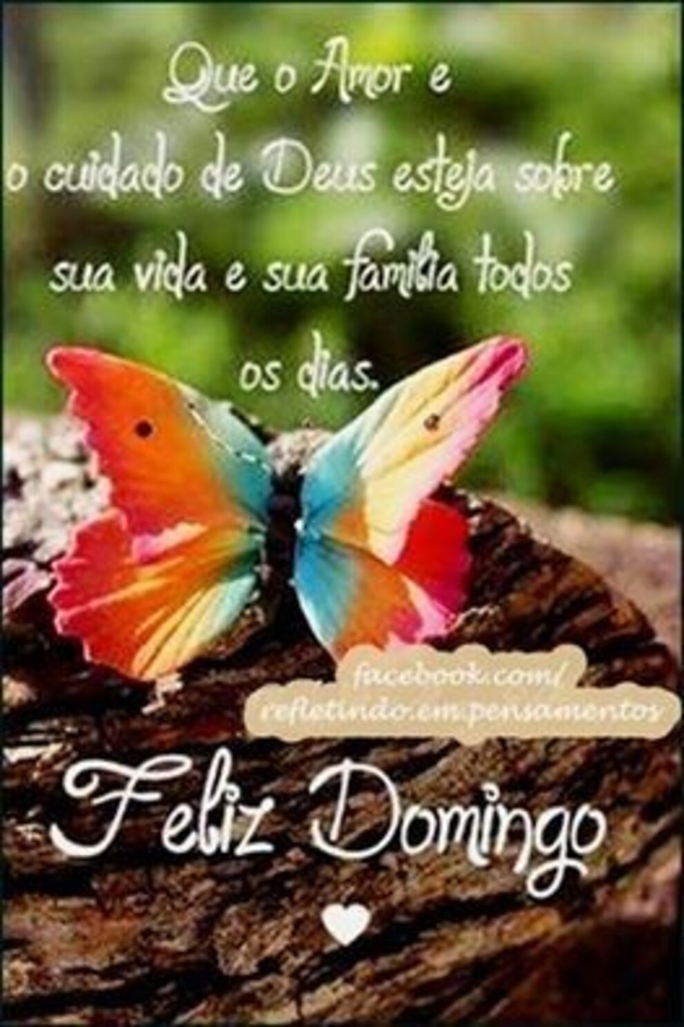 Postales y tarjetas de Feliz Domingo 3