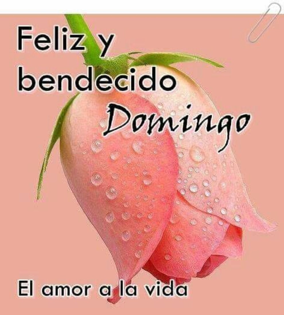 Postales y tarjetas de Feliz Domingo 8