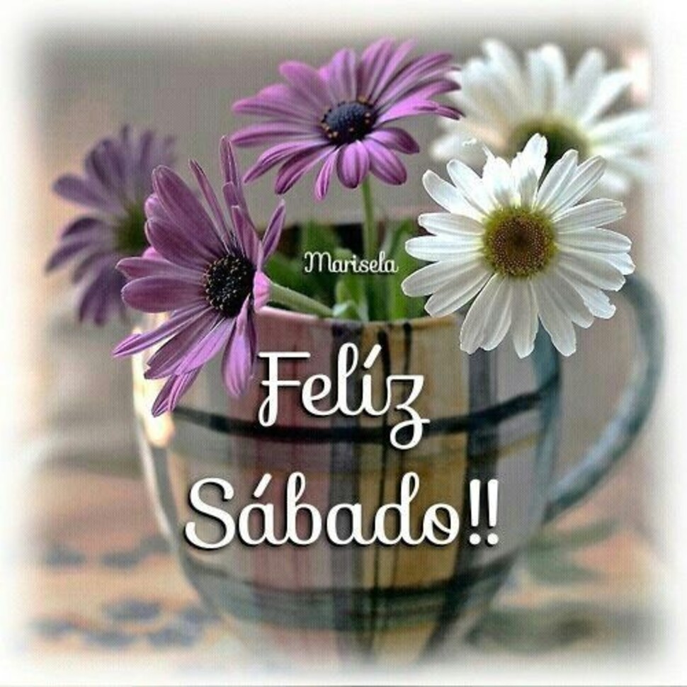 Sábado 11