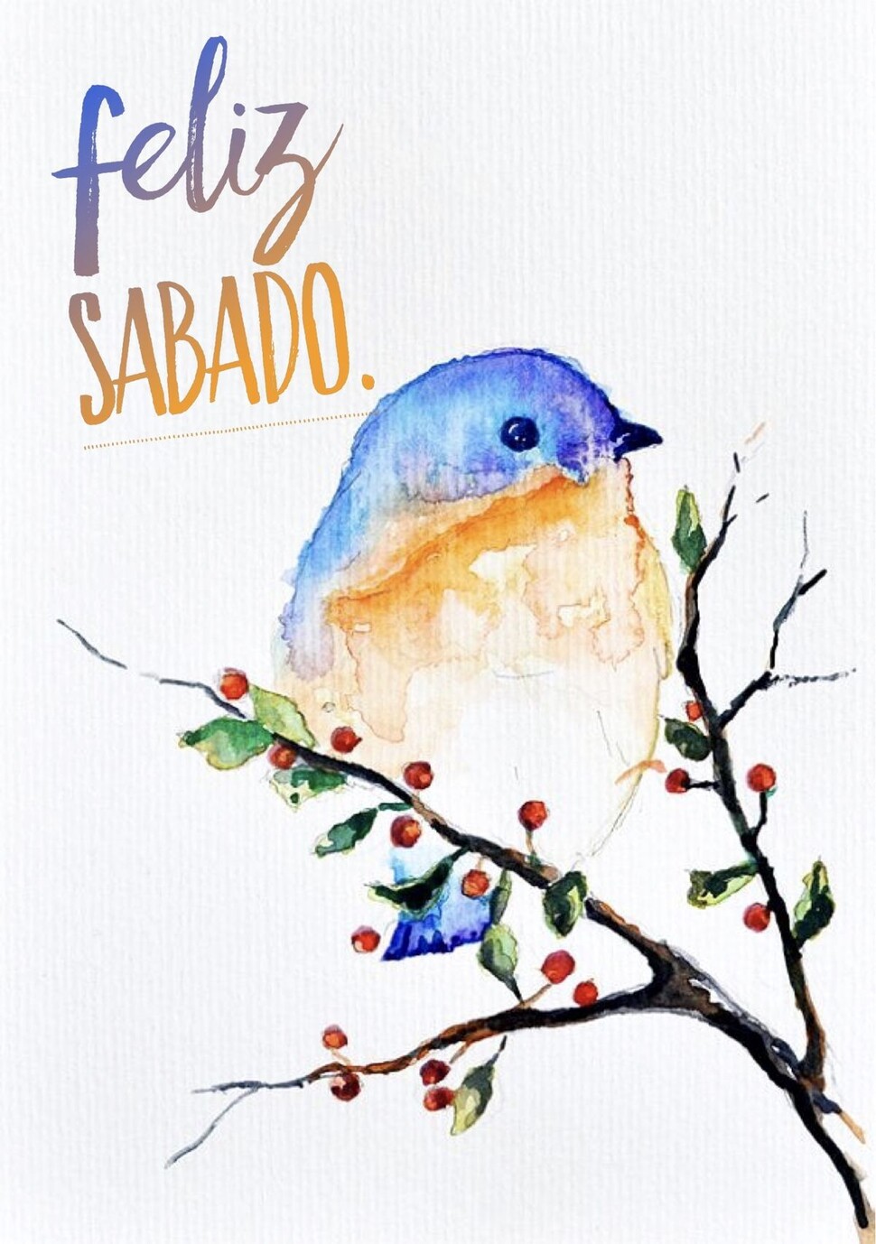Sábado 15