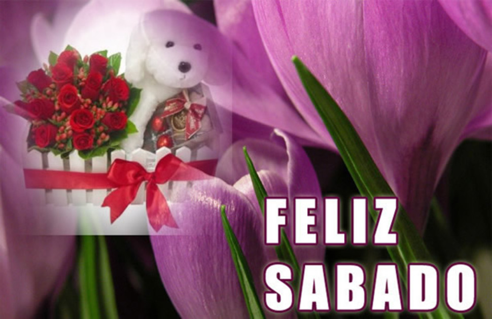 Sábado 9