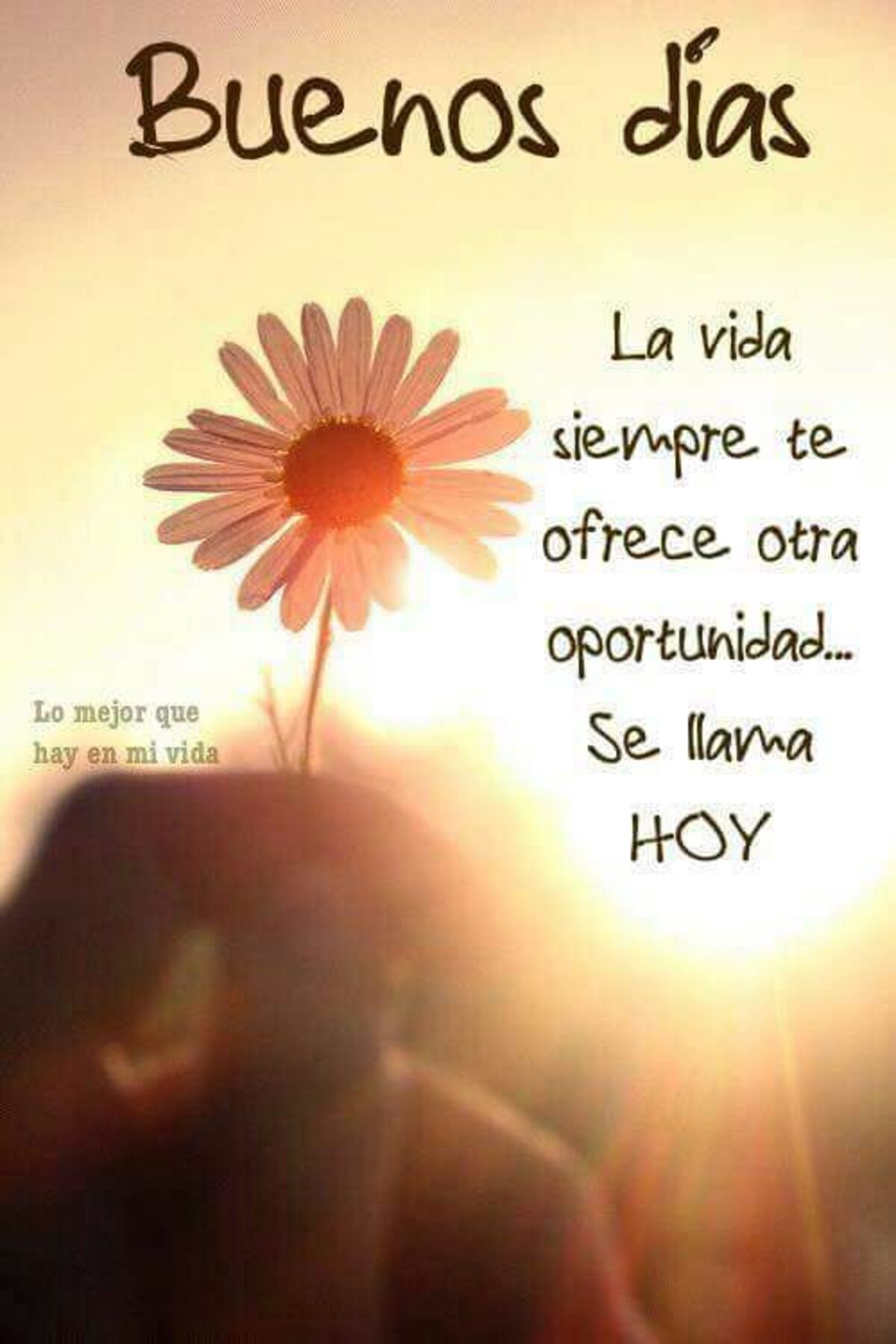buen día imágenes bonitas 12