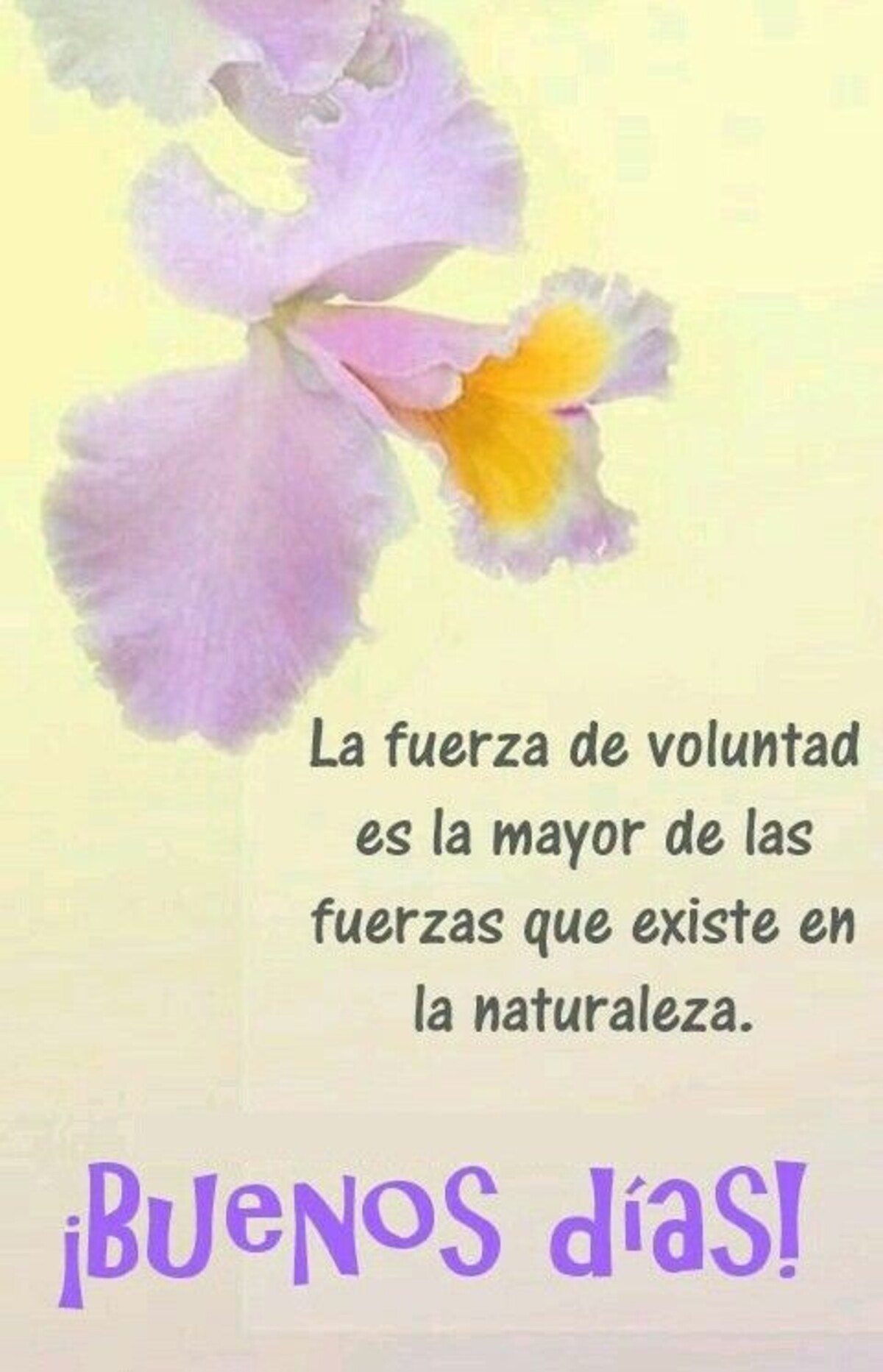 buen día imágenes bonitas 8