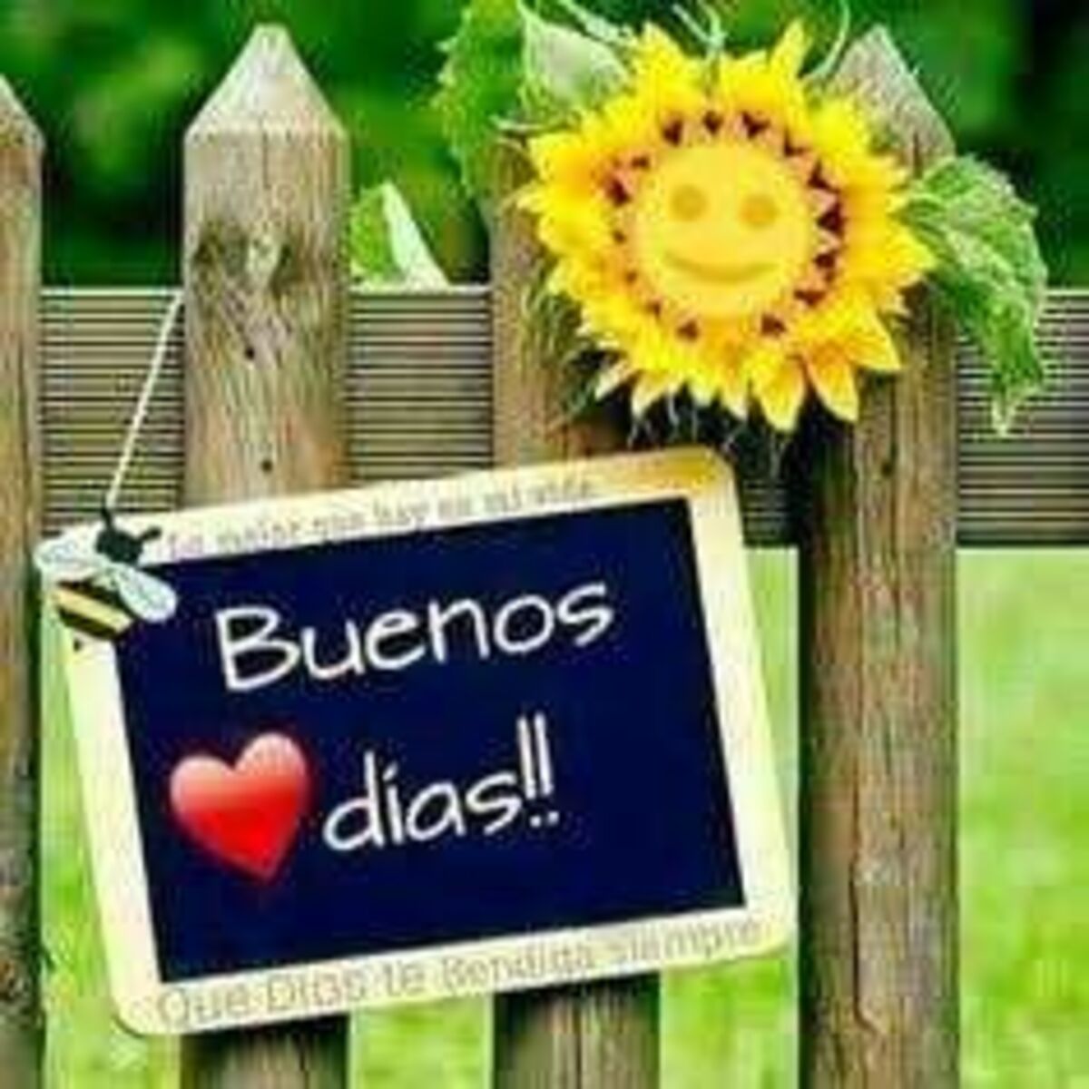 buen dia imagenes nuevas 11