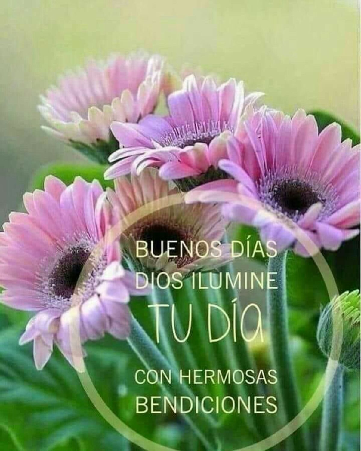 buen dia imagenes nuevas 2