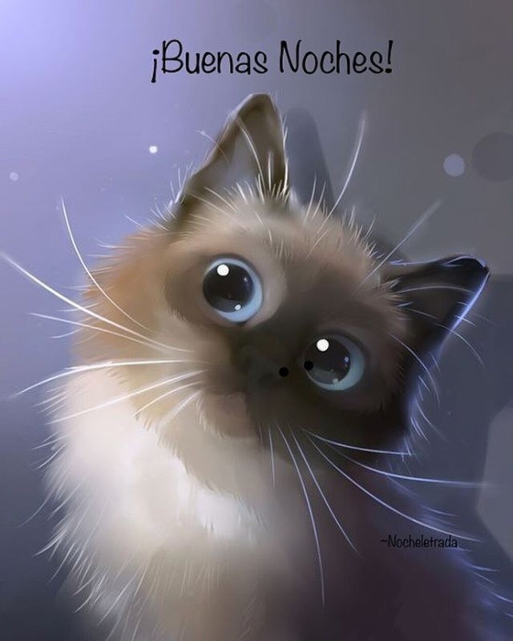 buenas noches con gatitos (3)