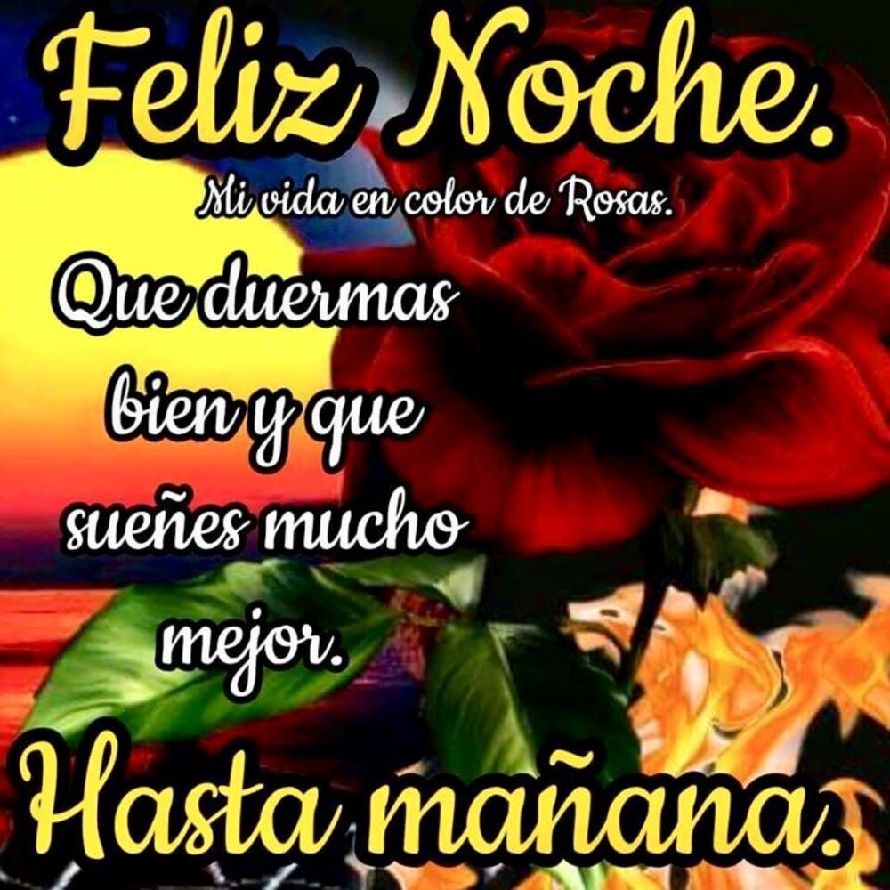 buenas noches con rosas (2)