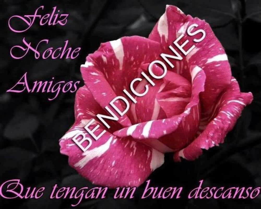 buenas noches con rosas (5)