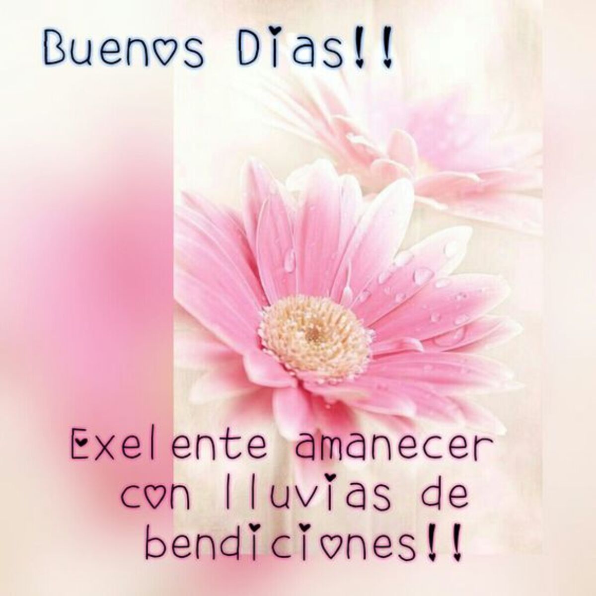 buenos días con flores (1)