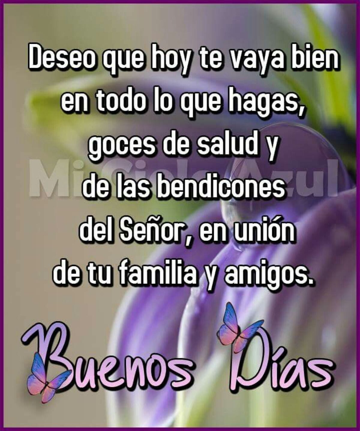 buenos días con flores (10)