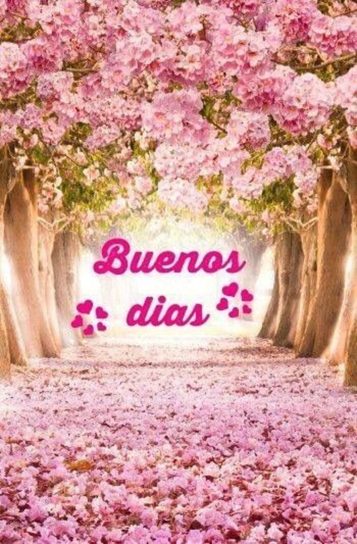 buenos días con flores (2)