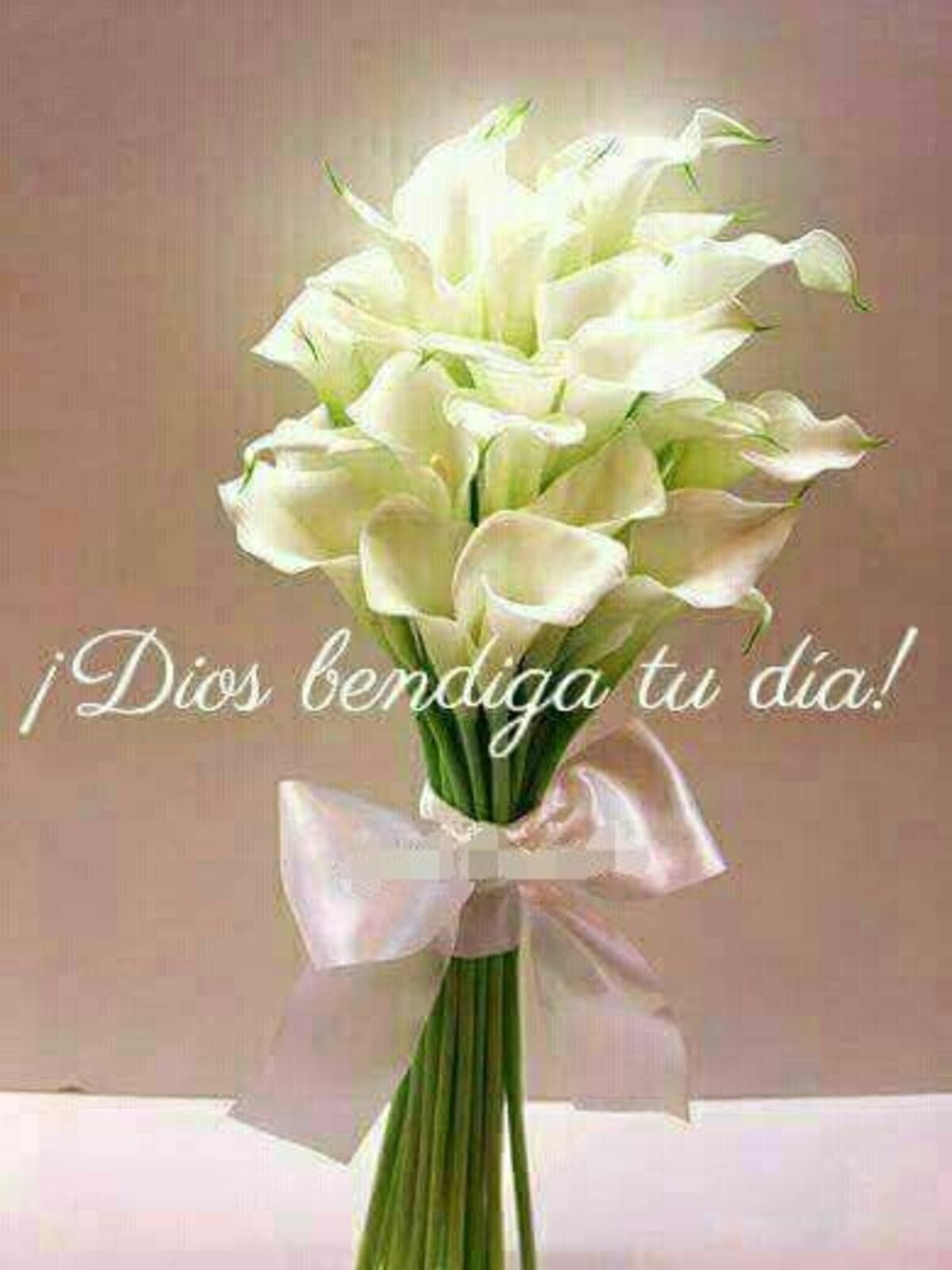 buenos días con flores (4)