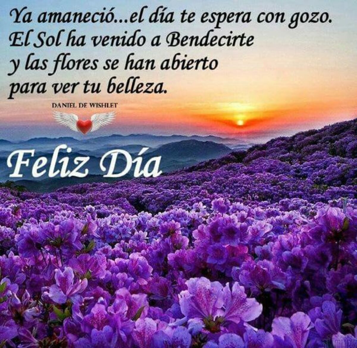 buenos días con flores (8)