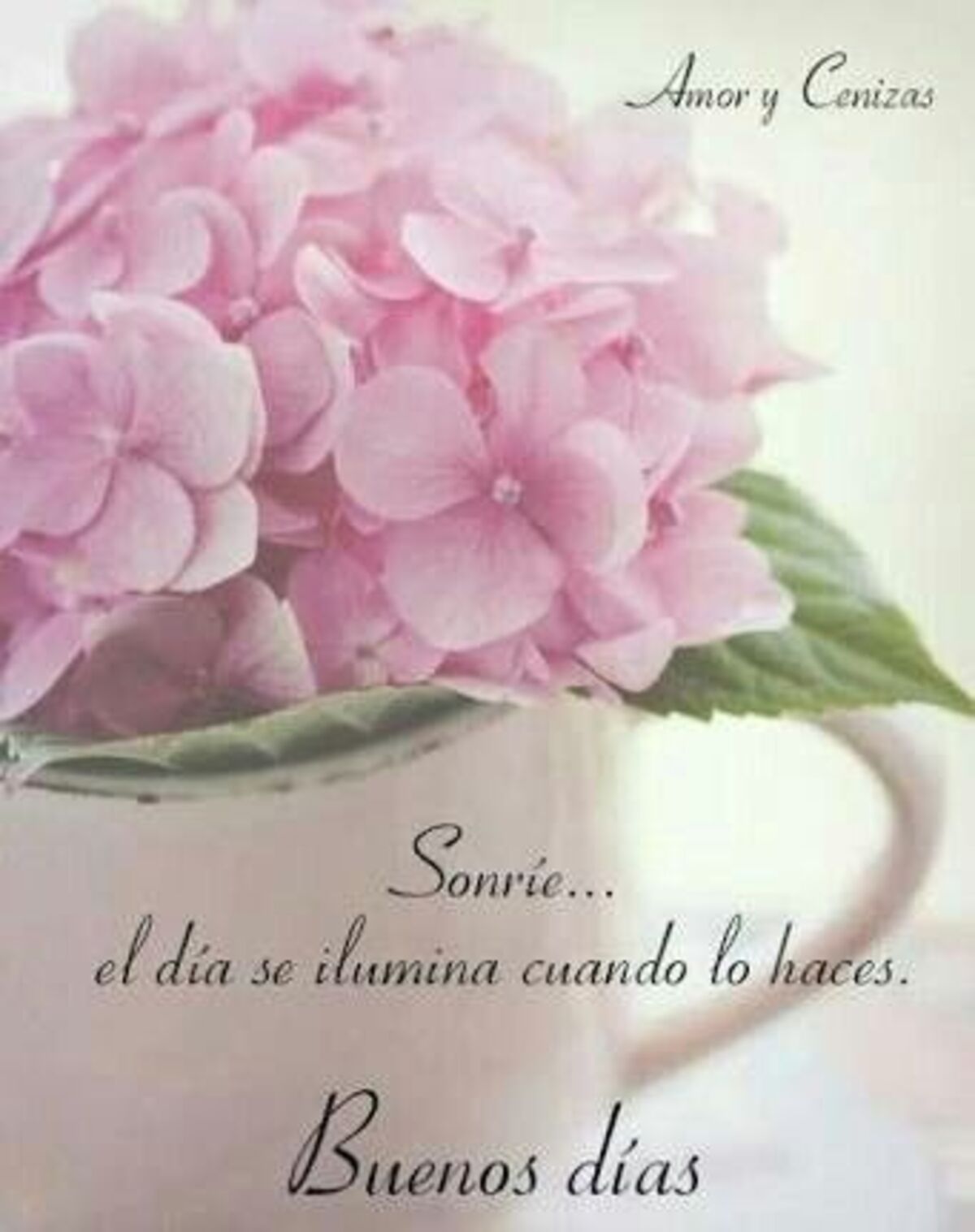 buenos días con flores (9)