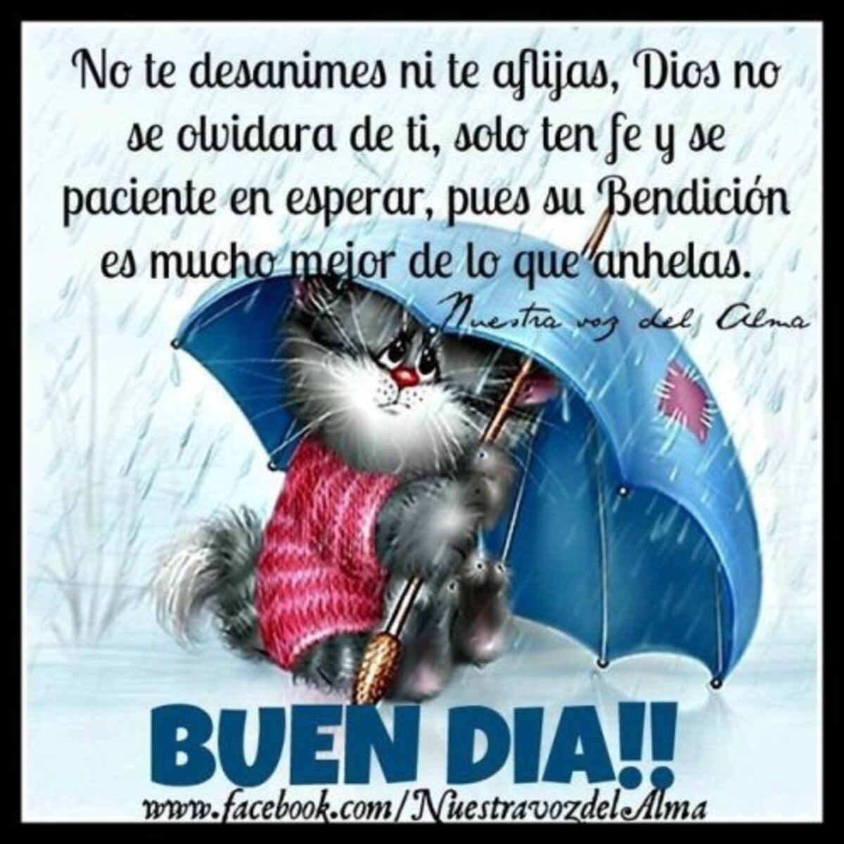 buenos días dios te bendiga 11