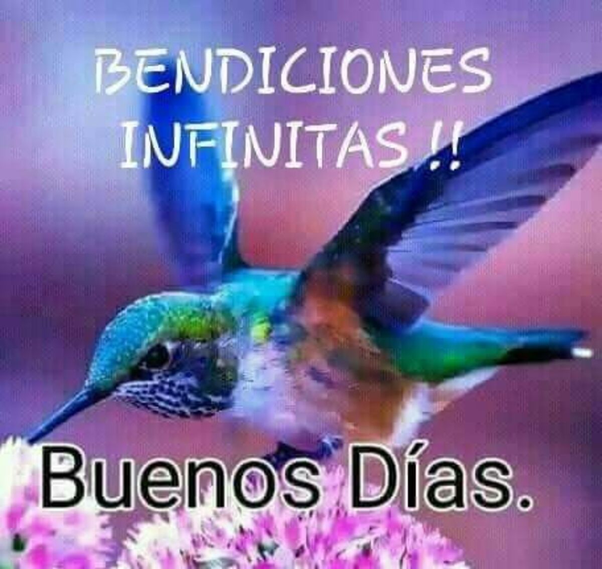 buenos días dios te bendiga 12