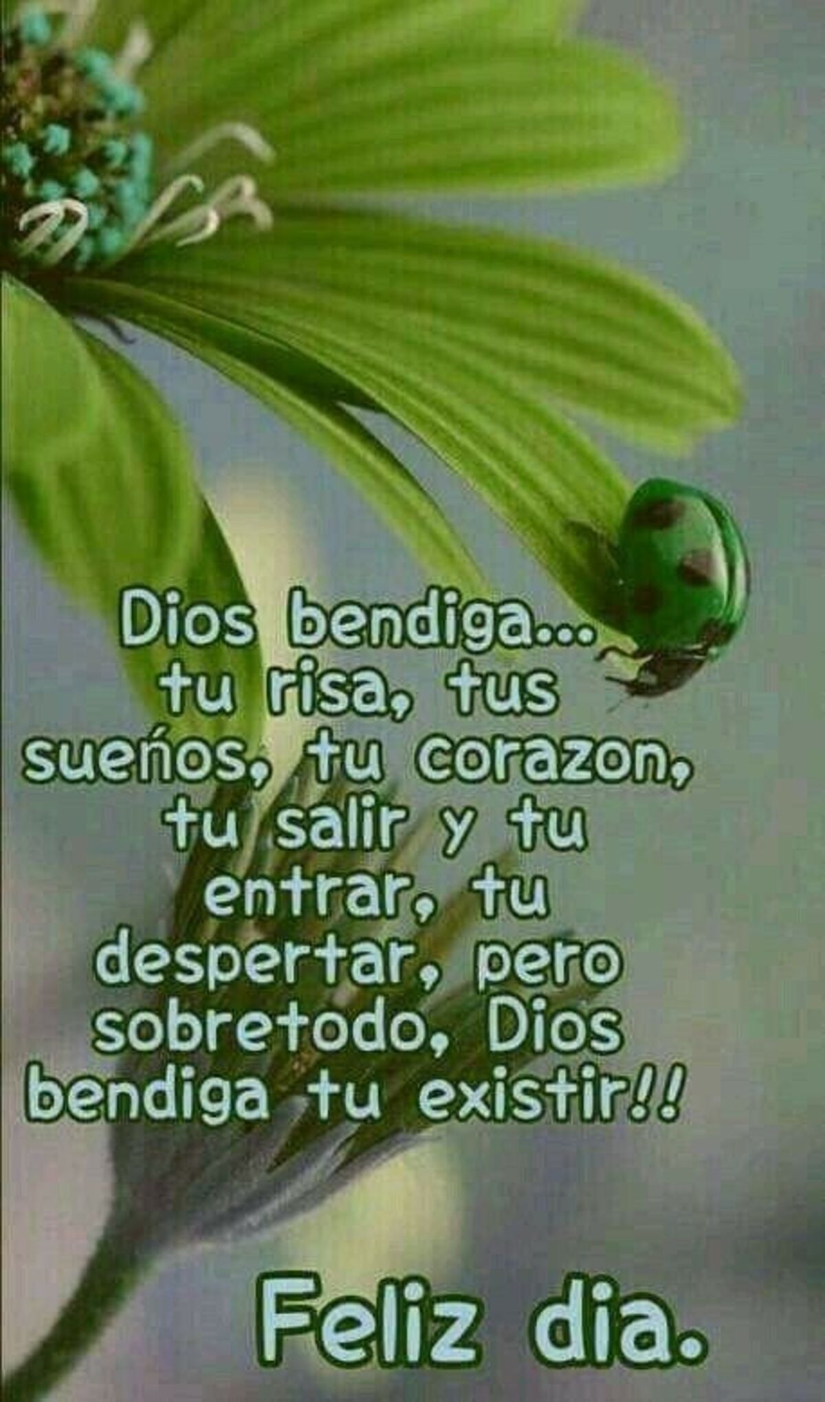 buenos dias imagen 4