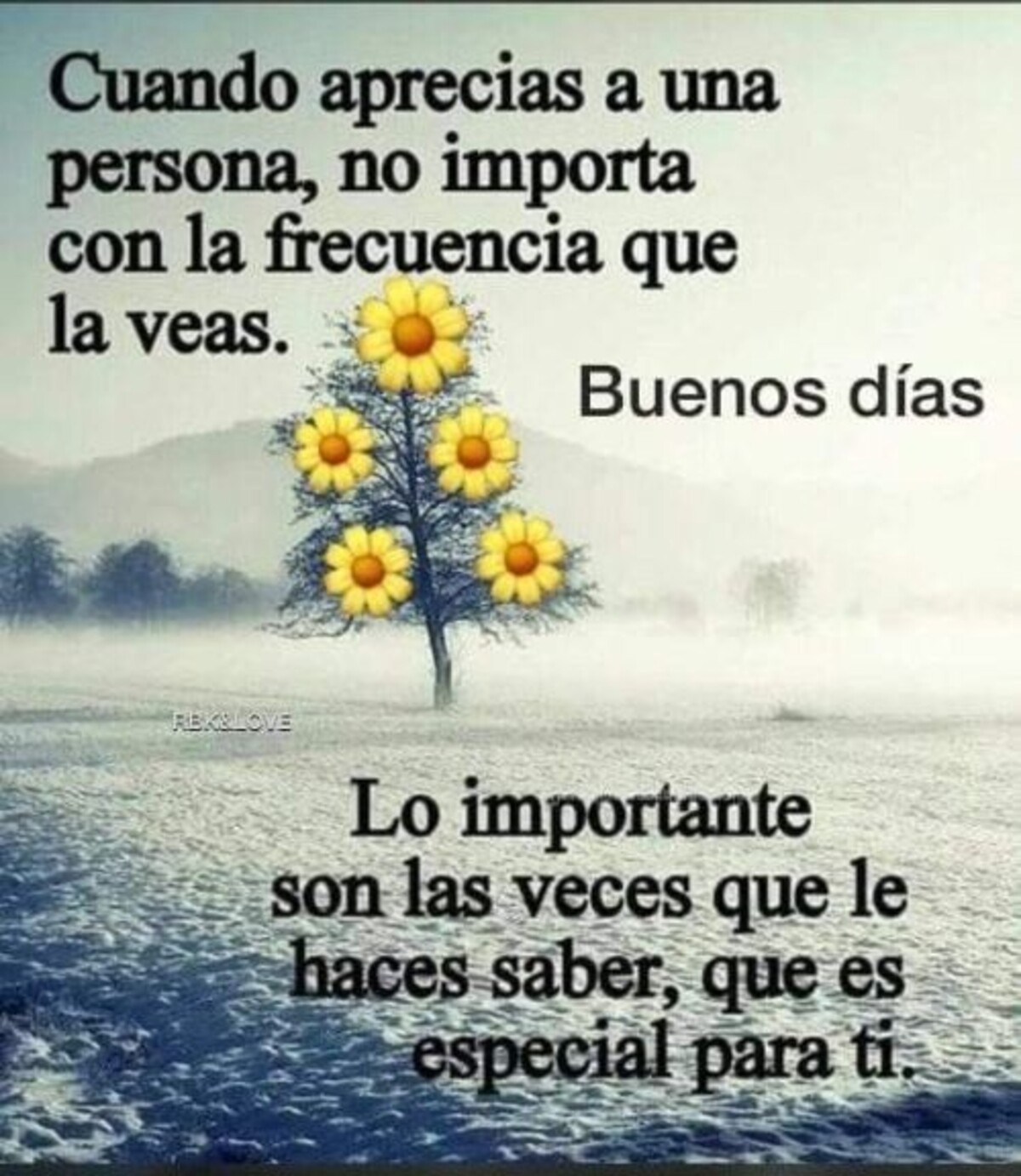 buenos dias imagen 6